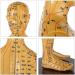 Human Acupuncture Template - Traditional Chinese Medicine Meridian and Acupoint Teaching Model - Man and Woman Acupuncture with Points - Buy Online on SooperMarket.com