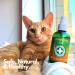 Meowijuana Organic High-Potency Catnip Spray Bundle - 3oz | USA-Grown | For Cat Toys, Teasers & Scratchers | Feline Approved - Buy Online on SooperMarket.com