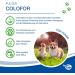 Nutrilabs Colofor Powder for Dogs 400g - Nutritional Supplement for Dog Diarrhea with Bentonite L-Glutamine & Prebiotics - Former Estifor Powder - Buy Online on SooperMarket.com