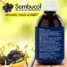Sambucol Black Elderberry Anti-Viral Flu Care Syrup | Quickly Relieves Cold & Flu Symptoms | Immune Support & Antioxidant | Ideal for Families | 500 mL Anti-Viral Flu Care 500 ml (Pack of 1) - Buy Online on SooperMarket.com