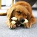 Tikaton Indestructible Dog Chew Toys - Real Beef Flavor for Large, Medium & Small Puppies | Durable Teething Bones for Aggressive Chewers - Buy Online on SooperMarket.com
