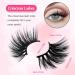7 Pairs of Half Eyelashes Cat Eye 12 mm Short Cat's Eye Artificial Eyelashes Natural Look 1/2 Corner False Eyelashes Set 3/4 Corner Eyelashes Reusable Lightweight Makeup Eyelashes (1-33) 7P-HF-1-33 - Buy Online on SooperMarket.com