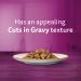 WHISKAS Perfect Portions Wet Cat Food - Tuna - 75g (24 Pack) Cuts in Gravy Tuna 75 g (Pack of 24) - Buy Online on SooperMarket.com