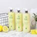 SBC Skincare Lemon Myrtle & Thyme Body Wash - 500ml | Zesty Shower Gel For Men And Women | Shower Cream For Oily And Breakout-Prone Skin | Vegan Friendly | SLS Free - Buy Online on SooperMarket.com
