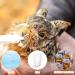 Buy Baby Bird Feeding Syringe - 1 Piece Dispenser with 20 Sterile Hoses for Small Animals Kittens & Puppies - Ideal for Scientific & Industrial Labs - Buy Online on SooperMarket.com