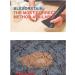 Homeowners Spot Dye Kit | Restore Carpet Color & Repair Discoloration from Bleach Acne Meds & Chemical Marks - Buy Online on SooperMarket.com