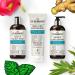 CURLSMITH Clarifying Wash Day Bundle: Pre-Biotic Primer, Wash & Scrub Detox with Pro-Biotic Conditioner - Buy Online on SooperMarket.com