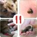 Nepfaivy Tick Pliers for Dogs Cats & Humans - 2 Set Tick Tweezers for Safe Easy Tick Removal of All Sizes - Buy Online on SooperMarket.com