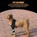 Dog Leg Brace Stability Pet Elbow Brace Convenient Steady for Pet Elbow Pad Puppy Dog(Black M) - Buy Online on SooperMarket.com