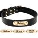 Tagme Personalized Leather Dog Collar - Engraved Name & Phone Number for Medium & Large Dogs - Black L (1 Pack) - Buy Online on SooperMarket.com