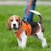 Buy Zhenle Adjustable Cat Harness for Small Animals - Perfect Fit & Comfort for Cats (M) - International Shipping Available - Buy Online on SooperMarket.com