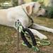 Campingmoon Dog Tie Out Stake 360 Swivel Heavy Duty Strongest Dog Anchor Spike for Tie-Out Cable Chain in Yard or Camping - Buy Online on SooperMarket.com