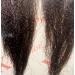 4pack NEW 60 INCH XPRESSION LAGOS BRAID PRE-PULLED PRE-STRECHED Hair Extension 60 2 In A Pack (Colour 33 Brown/Auburn) Heat Resistant Tangle Free Dark Auburn Brown 1 - Buy Online on SooperMarket.com