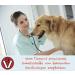 Canimove Doppelpack (200 Capsules) - Veterinary-Approved Support for Heart Function in Large Dog Breeds - Buy Online on SooperMarket.com
