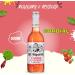 Mr Fitzpatricks Cordial Pick N Mix - Choose From Bottle with 12 Flavours - Sarsaparilla Strawberry & Kiwi Sour Cherry Grape & Hibiscus Blackcurrant & Liquorice and Many more - Pack of 2 x 500ml 500 ml (Pack of 2) - Buy Online on SooperMarket.com