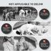 Bubbacare Anti Barking Device - Automatic Ultrasound Bark Control for All Dog Sizes - 3 Modes for Indoor & Outdoor Use - Buy Online on SooperMarket.com