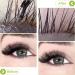 Eyelash Cleanser Concentrate Green Tea 100ml Professional Lash Extensions Shampoo Natural Foaming Cleanser DIY Paraben & Sulfate Free Non-lrritating Wash for Extensions Lashes with Salon Home Care-Makes 60ml Bottles Eyelash Shampoo Green tea 1 count (Pack - Buy Online on SooperMarket.com