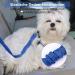 Oyefly Universal Dog Seat Belt Elastic Safety Belt for Dogs & Cats | Strong Carabiners | Fits All Car Types (Blue) - Buy Online on SooperMarket.com