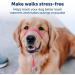 PetSafe Gentle Guide Collar - Beige Medium | Includes Training DVD | International Shipping - Buy Online on SooperMarket.com