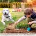 SunGrow Heavy-Duty Steel Dog Tie-Out Cable and Stake Spiral Ground Anchor Spike with 360 Rotating Ring Dog Tether Travel Accessories Outdoor Yard Camping Accessories for Dogs up to 80 Pounds - Buy Online on SooperMarket.com