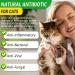 Natural Antibiotics for Cats Cat Antibiotics- Cat Multivitamin is anti-bacterial effect antibiotics for cats Supports Immune & Cats Allergy Relief Health Supplies Cats UTI Antibiotics(60ml) - Buy Online on SooperMarket.com