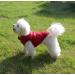 Warm Fleece Lined Dog Jacket - Windproof & Soft Winter Vest for XS Dogs (Red) - Joydaog - Buy Online on SooperMarket.com