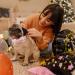 Shop Lionheart Glory Christmas Dog Collar - Adjustable Pink Soft Collar for Large Dogs | Perfect Gift for Girls & Young Dogs - Buy Online on SooperMarket.com