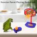 Aedcbaide Bird Parrots Toys - Parakeet Parrot Swing Included - Buy Online on SooperMarket.com