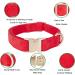 YUDOTE Ultra-Soft Natural Cotton Dog Collar for Small Dogs with Sensitive Skin - Red S (1 Pack) - Gentle Durable Stylish - Buy Online on SooperMarket.com