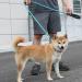 yeesport Dog Leash Nylon 5.9ft - Heavy Duty Nonslip Outside Outdoor Running Jogging Padded Handle Puppy Training Leash Blue M - Buy Online on SooperMarket.com