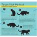 CAT SCHOOL Clicker Training Kit - 1 Cat Training Clicker 1 Target Stick 1 Step-by-Step Instruction Booklet - Clicker Tools for Cat Training Fist Bump Training Positive Behavior - Buy Online on SooperMarket.com