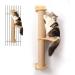 FUKUMARU Cat Activity Tree with Scratching Posts, Wall Mounted Jute Scratcher Pine Hammock (Cat Activity Tree-Updated)