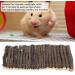 Small Animals Wooden Arch Bridge | Hamster & Guinea Pig Hiding Place | Rodent Conductor Bridge for Ferrets & Chinchillas - Buy Online on SooperMarket.com