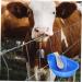GANAZONO Farm Automatic Drinking Fountain Livestock Animals Waterer Stainless Sink Drinking Cup Large Plastic - Buy Online on SooperMarket.com
