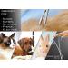 Pet Hair Remover & Hair Plucker for Animals - Effortless Cleaning Tool for Pet Owners | Shop Now - Buy Online on SooperMarket.com