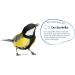Elles Meisenkn del 6-Pack | 100% Natural Bird Energy Bundle with Berries | Eco-Friendly & Beak-Friendly Wild Bird Food - Buy Online on SooperMarket.com