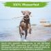 MC-Royal Deluxe Tick Collar for Dogs | 100% Natural Ingredients | 8 Months Reliable Tick Protection - International Shipping Available - Buy Online on SooperMarket.com