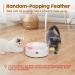 Potaroma 3-in-1 Smart Interactive Electronic Cat Toy - Fluttering Butterfly, Moving Feather, Catnip Balls - Dual Power Supplies - Indoor Exercise Kicker Toy - Bright White - Buy Online on SooperMarket.com
