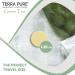 Terra Pure Green Tea Bar Soap Travel Size Hotel Amenities 1.25 oz - Pack of 100 - Buy Online on SooperMarket.com