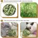 6pc Rabbit Chew Ball Timothy Grass Toys for Small Animals - Ideal for Bunny Rabbits, Hamsters, & Guinea Pigs - Buy Online on SooperMarket.com