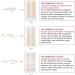 Satvee Waterproof Double Eyelid Tapes Satvee Waterproof Double Eyelid Tapes (2Set) - Buy Online on SooperMarket.com