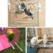 Litewood Stainless Steel Bird Perch Stand Cage Shelf for Parakeet Cockatiel Conure African Grey Macaw - 11.79x0.98inch - Buy Online on SooperMarket.com