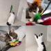 10-Piece Natural Bird Feathers Cat Toy Wand Refills - Replacement Feathers for Interactive Play - Buy Online on SooperMarket.com