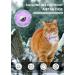 Shop Airtag Cat Neck Band | Reflective Kitten Collar with Holder & Bell | Light Tracker for Young Cats - Purple - Buy Online on SooperMarket.com