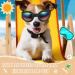 Dog Goggles Dog Sunglasses Adjustable Strap for Waterproof Windproof UV Protection Sunglasses for Dog for Go out Travel Skiing Swim (Black) - Buy Online on SooperMarket.com