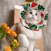 ComSaf Cat Recovery Collar - Lightweight & Adjustable Elizabeth Collar for Cats - Prevent Licking Wounds - Watermelon-M - Buy Online on SooperMarket.com