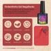 Phoenixy UV Gel Nail Polish Set - 10 Color DIY Starter Kit with 36W LED Nail Lamp | At-Home Gel Nail Art - Buy Online on SooperMarket.com