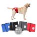 Procedure pants for bitches 2.0 - dog diapers made of high -quality perforated neoprene for an optimal air exchange - dog diapers for male without the annoying threading of the rod (M -L red)