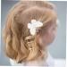 Anneome 20pcs Hairpin Diy Accessories Key Fob Butterfly Charms Diy Butterflies Accessories Phone Case - Buy Online on SooperMarket.com