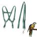 Ruqias Pet Bird Harness Leash for Macaw Cockatoos with Buckle Adorable Rainbow Design Safe Parrot Leash Pet Harness Outdoor Adjustable Anti Bite Training Rope for Macaw Large Size Bird L Green